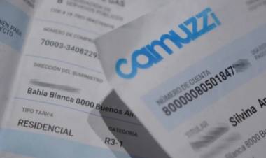 "Todos debemos defender la zona fría en la boleta del gas" afirmó Medina