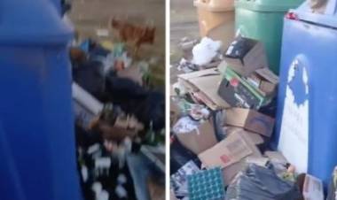 Reclaman al Municipio que un basural clandestino en Punto Limpio “es un juntadero de lauchas”
