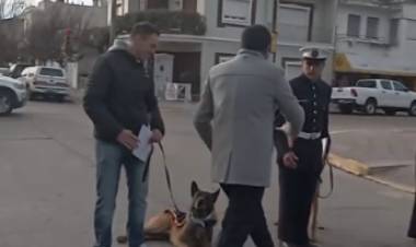 Fueron reconocidos los perros de guerra de la BNPB por su ayuda humanitaria en Venezuela