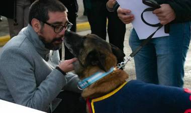 Reconocieron al perro Bart y al personal de la Armada que brindó ayuda en Venezuela