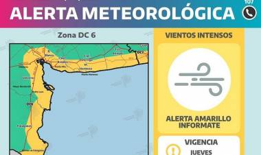 Ráfagas de hasta 70km/h: alertas por vientos para Coronel Rosales