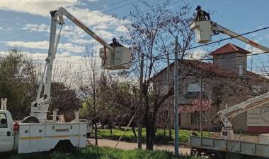 Programan un corte de energía para trabajos de poda en Nueva Bahía y aledaños