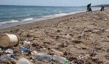 Convocan a voluntarios para participar del censo de residuos en la playa