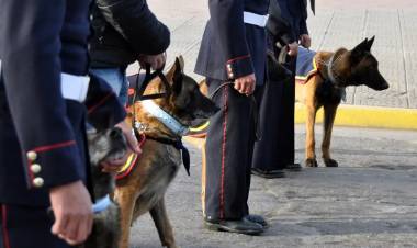 El Municipio de Coronel Rosales entregó materiales de trabajo para la Agrupación Perros de Guerra