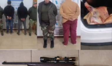 Robaron un novillo de 200kg y lo llevaban en el baúl de un auto