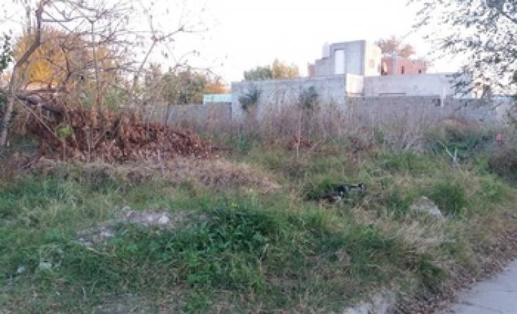 Concejales de la UCR y Bien Común canalizan reclamos vecinales