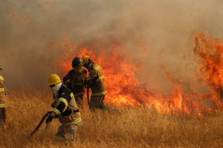 Recomendaciones de Protección Ciudadana para la prevención de incendios forestales