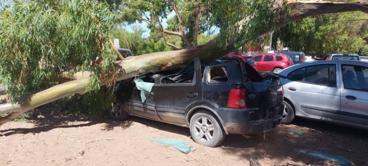 Pehuen Co: “Mis hijos tuvieron un Dios aparte, no estaban a bordo“