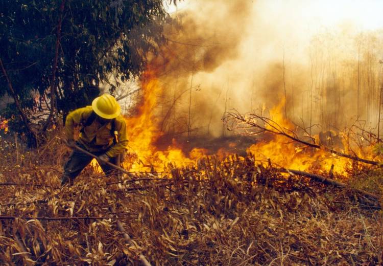Consejos de Protección Ciudadana para prevención de incendios  