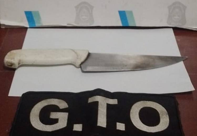 Un menor de edad fue detenido por intento de agresión al personal policial