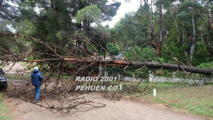 Pehuen Co se encuentra sin servicio eléctrico debido al temporal sufrido en la madrugada