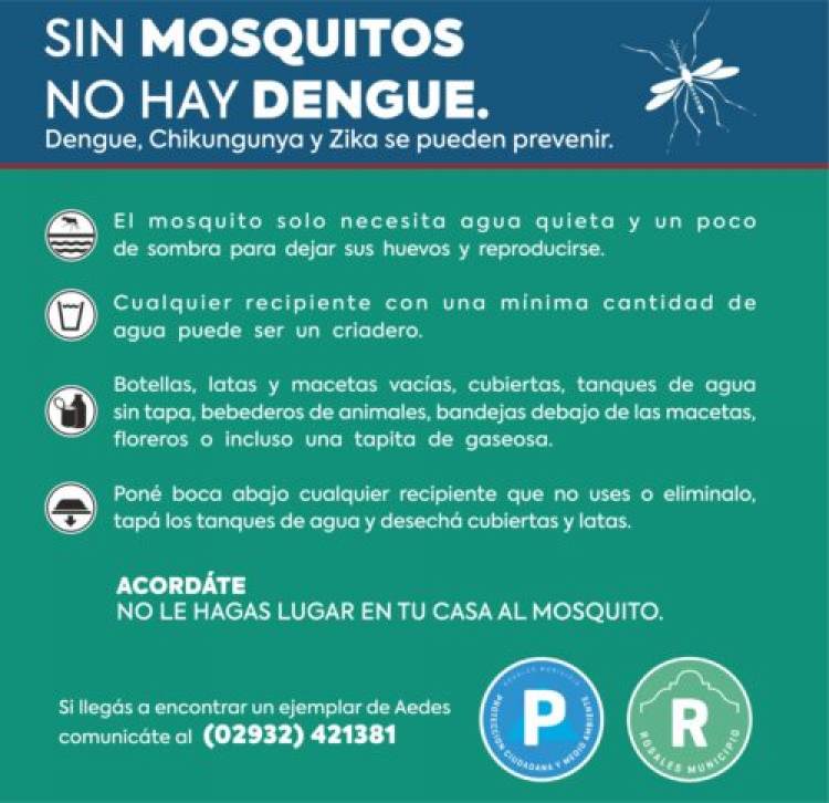 Protección Ciudadana continúa un intenso trabajo para controlar presencia de mosquito Aedes