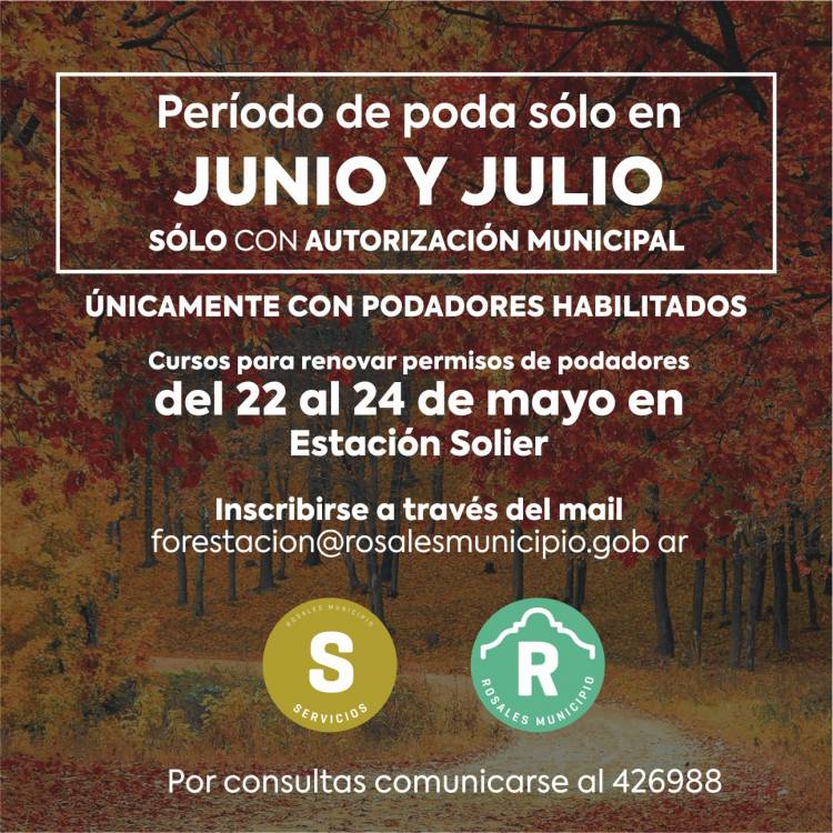 El período de poda será sólo para los meses de junio y julio con autorización municipal