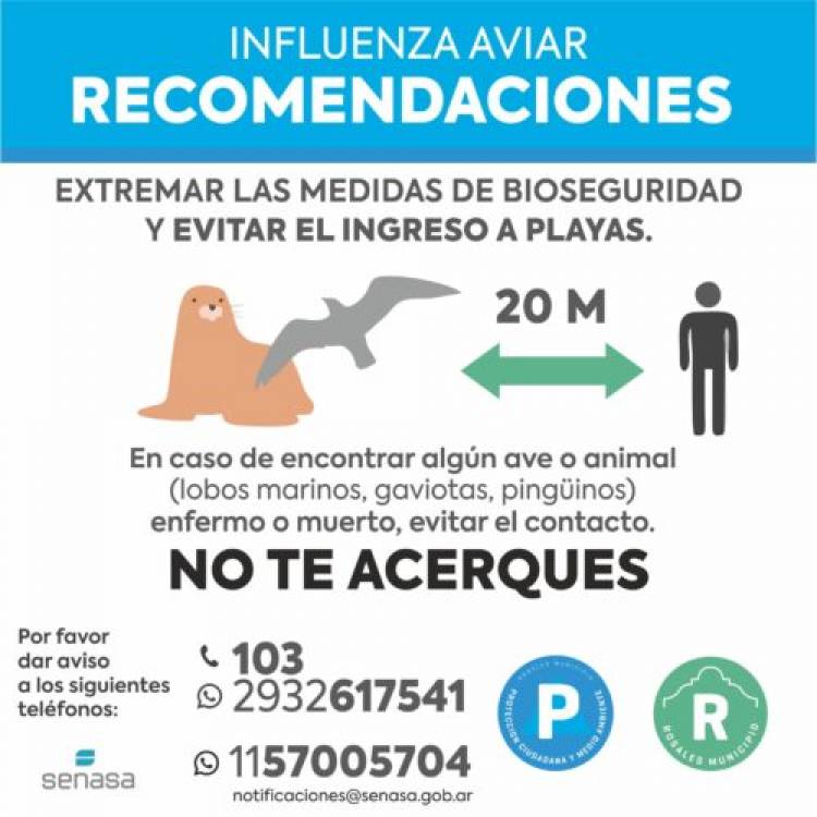 El Municipio recomienda qué hacer en caso de encontrar animales afectados por gripe aviar en la costa 