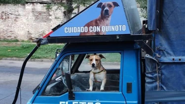 Se negó a hacer un flete a Pago Chico porque no lo dejan entrar con su perro