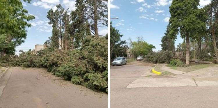 Vecinos del Barrio Gottling realizarán tareas de limpieza en la plaza afectada por el temporal