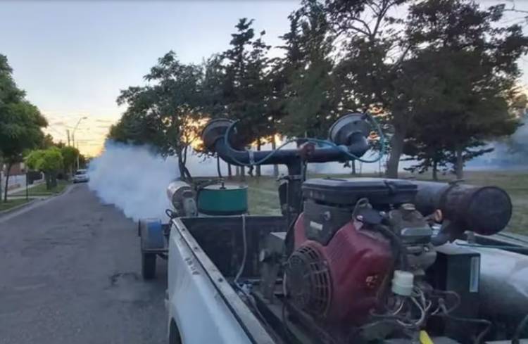 Cronograma de fumigación para la última semana del 2023