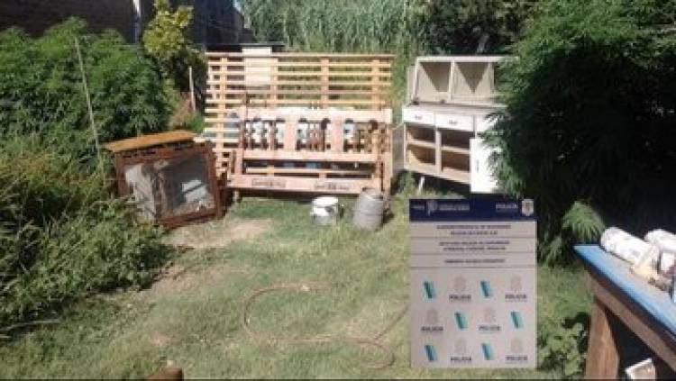 Allanamiento positivo en una vivienda