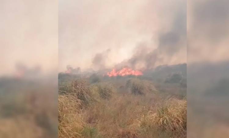Bomberos Voluntarios de Punta Alta y Pehuen Co prestan colaboración en Monte Hermoso