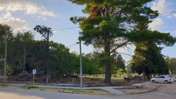 Vidal: "El temporal agravó el estado de abandono de las instituciones"