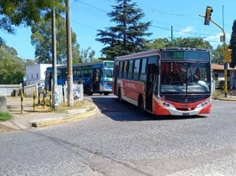 El Concejo Deliberante aprobó el del pasaje de colectivos en Coronel Rosales