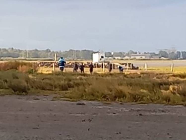 Confirman que los restos hallados en Puerto Belgrano son de Delfina Hecker