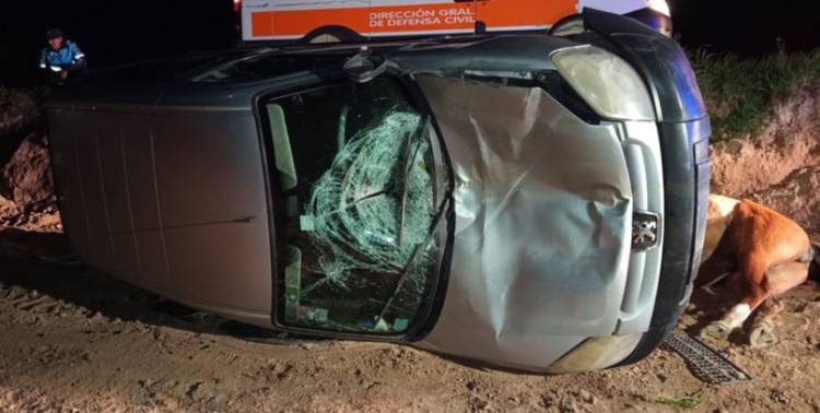 Se dirigían a Punta Alta por la ruta 3, chocaron un caballo y terminaron volcando