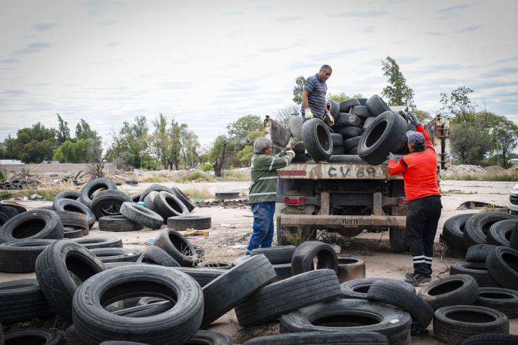 Proponen que se implemente programa para tratamiento de neumáticos fuera de uso