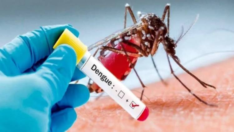 Comienza la campaña de vacunación contra el dengue en Coronel Rosales
