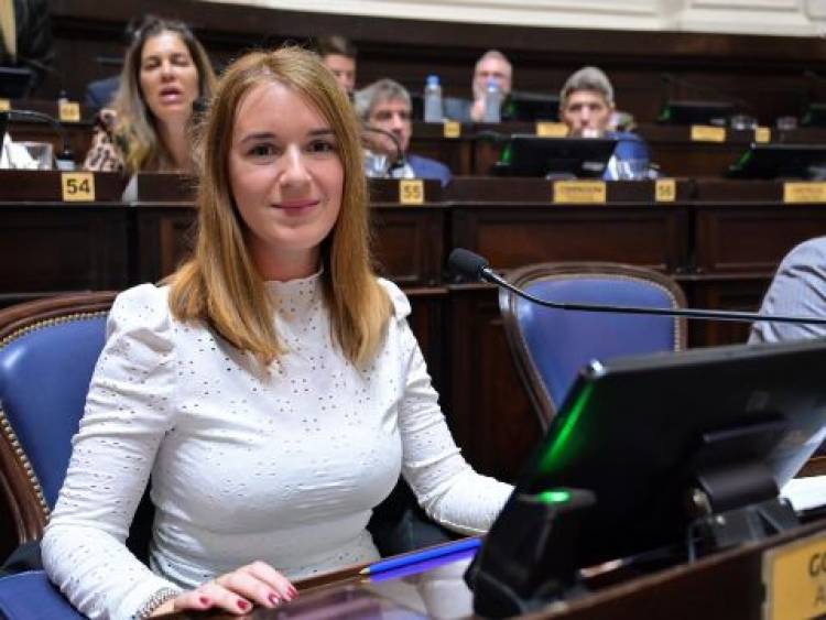 Diputados aprobó el proyecto de ley de los Acompañantes Terapéuticos