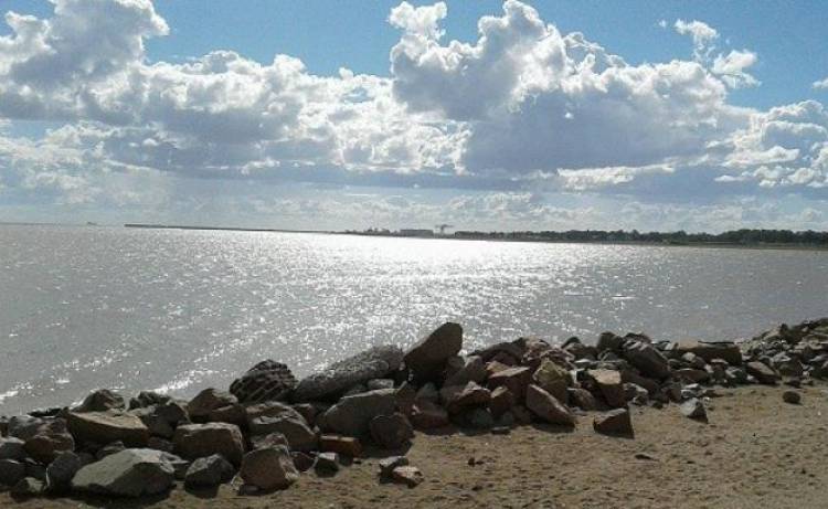 Solicitan a Salud que exprese públicamente qué nivel de contaminación hay en Arroyo Pareja