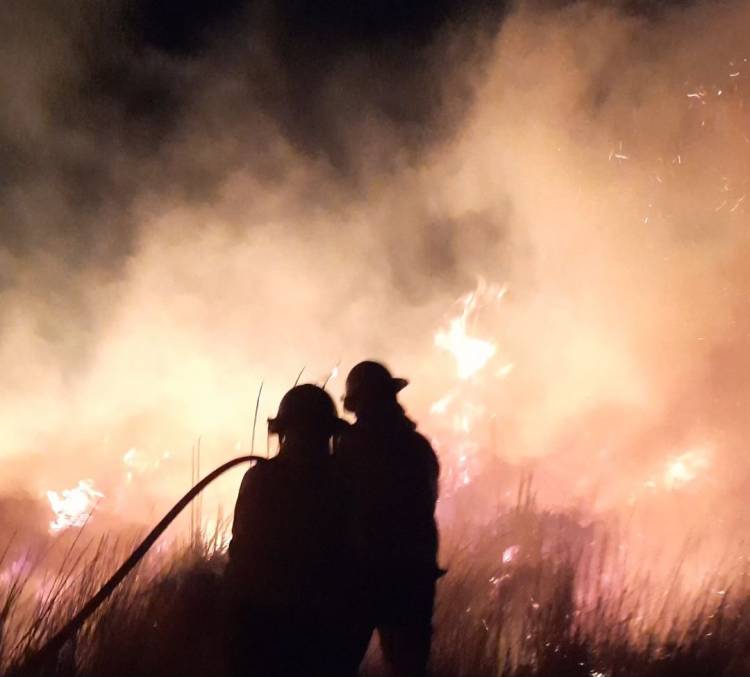 Es intensa la labor de Bomberos Voluntarios en incendios forestales
