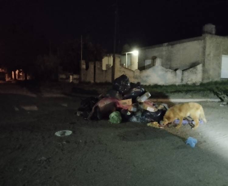 Vecinos de Villa Arias afirman que falta más presencia del Municipio en la localidad