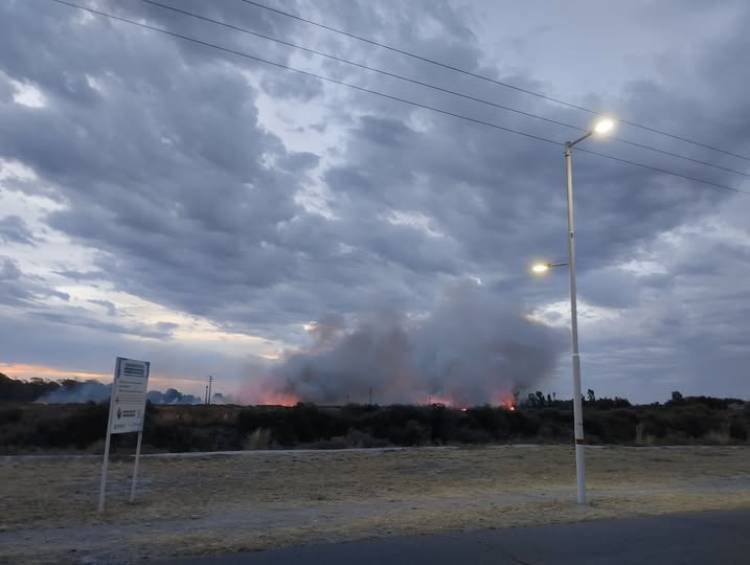 Bomberos de Base Naval Puerto Belgrano y Punta Alta trabajaron en incendio forestal 