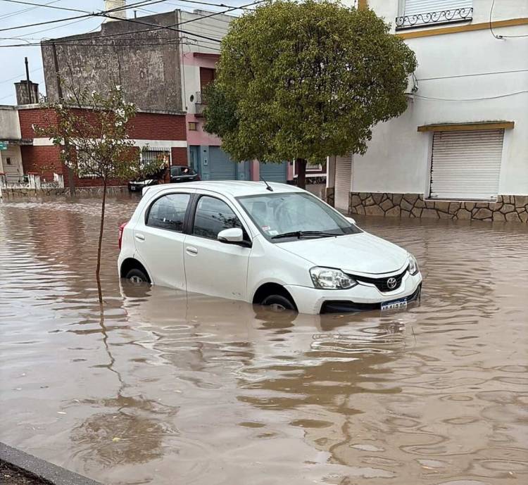 La lluvia dejó duras secuelas en Punta Alta