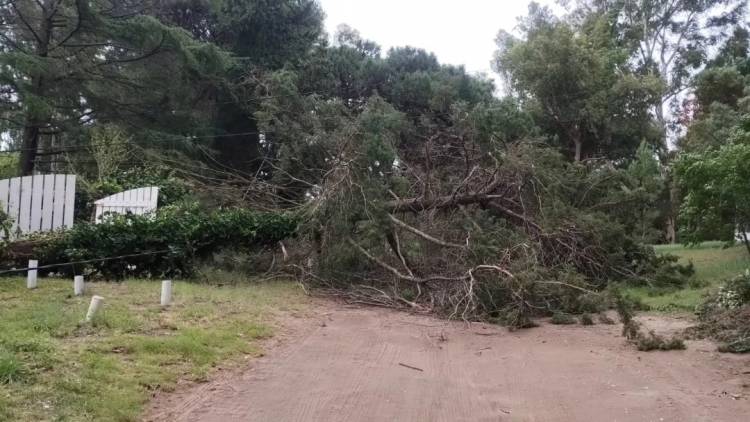 Los vientos fuertes ocasionaron daños en Pehuen Co y Arroyo Pareja