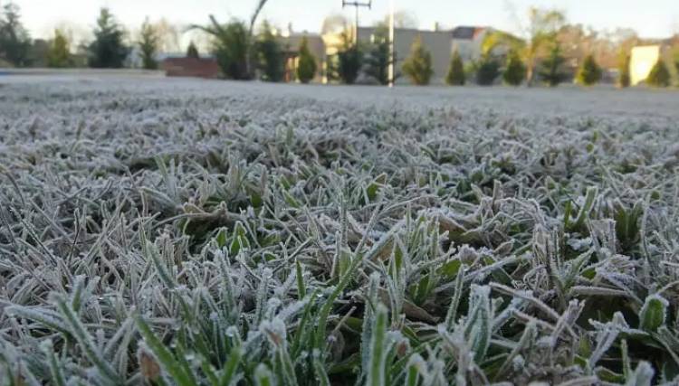 Rige una alerta amarillo por bajas temperaturas en la región 