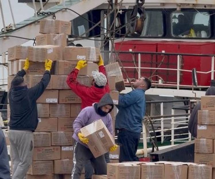 Fuerte movimiento exportador en Puerto Rosales, descargaron más de 200 toneladas de langostinos