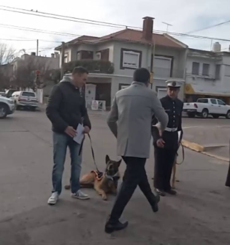 Fueron reconocidos los perros de guerra de la BNPB por su ayuda humanitaria en Venezuela