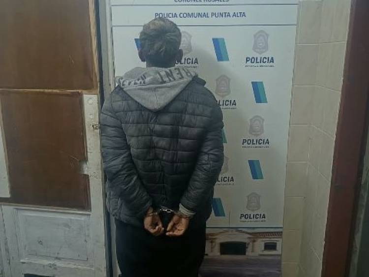 Se resistió a ser identificado, agredió a un policía e intentó robarle el arma