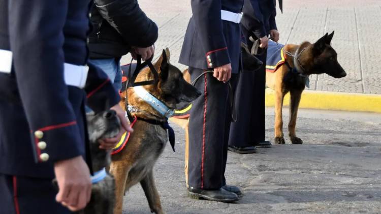 El Municipio de Coronel Rosales entregó materiales de trabajo para la Agrupación Perros de Guerra