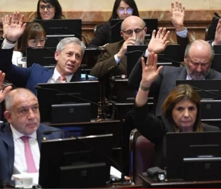 El Senado eliminó el beneficio de la zona fría para Coronel Rosales